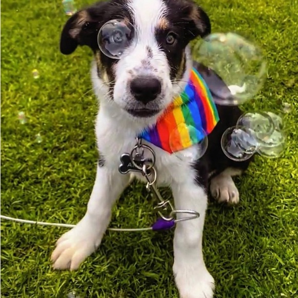 👩🏻‍⚖️🪧💼🎥 Schedule 📝 Shows Every 🗓️Firday⏱️7PM EST Like 👍 for shows all🤗 - Picture 5 of 6